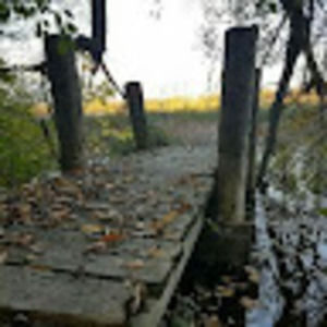 Meet your Posher, Bryan